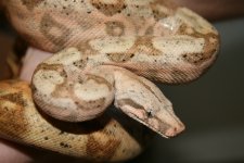 comp_IMG_4439.jpg