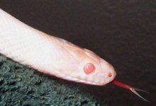 Earl120106-3.jpg