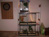 cages1.jpg