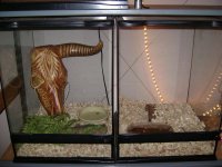 Cages3.jpg