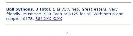 ball python ad.JPG