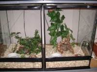 cages4.jpg