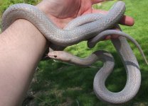 051008 vlad fs (2).JPG