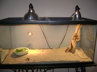 cages6.jpg