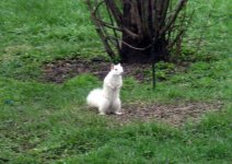 squirrel-18.jpg