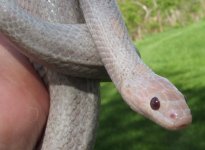 051008 vlad fs (17).JPG