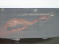 DSC04951.JPG