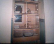 picture 001.jpg