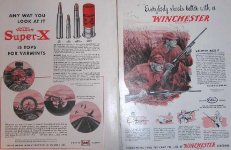 ads1953Bcr.JPG