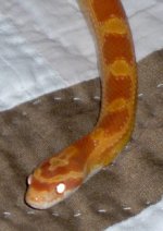 HPIM0383.JPG