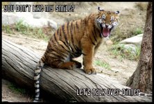 loltiger.jpg