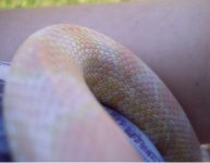 closeup.jpg