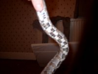 S3400284.JPG