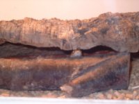 S3400288.JPG