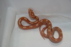 080806 005.jpg