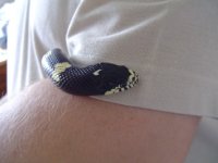 DSC01354.JPG resize.jpg