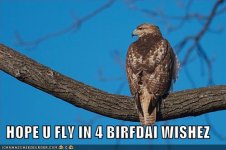 hopeuflyin128592492503195721.jpg