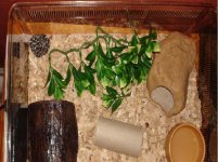 updated viv.JPG