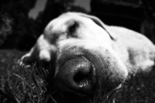 comp_IMG_2549.jpg