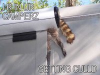 LOLCoon.jpg