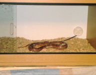i.jpg
