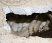 hiss hole.JPG