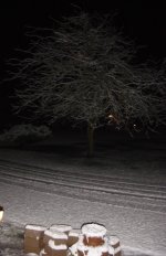 Picture 518.jpg