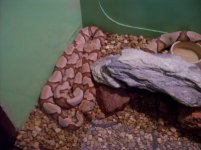 copperheads.jpg