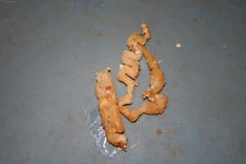 double goo.JPG