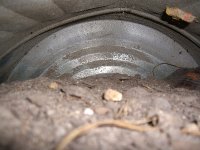 Burrowed 001.jpg