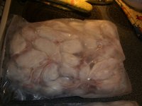 Gourmet Rodent 002.jpg