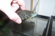 100_2048.jpg