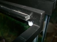 Critter Cage 005.jpg