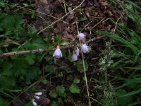 DSC01303.JPG