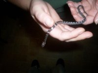 100_0608small.JPG