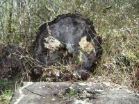 DSC01318.JPG