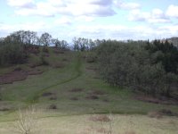 DSC01310.JPG