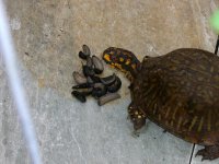 Slugs 002.jpg