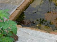 Slugs 003.jpg