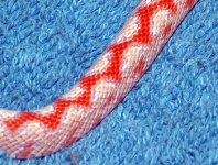 zigzag2.1.jpg