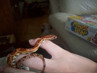 My Animals love 014 modified.jpg