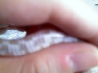 071907_12541.jpg
