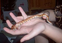 My Animals love 030 modified.jpg