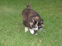 IMG_0095.JPG