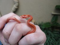 IMG_3157.JPG