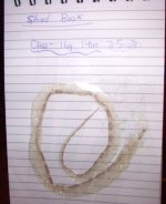shed book.jpg