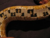 IMG_0038.JPG