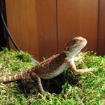 B Boy 08-09-08 a.jpg