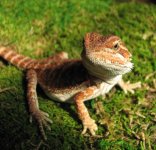 B Boy 08-09-08 a-.jpg