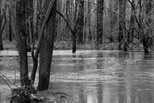 SilverCreek(B&W)Sm_0085.jpg SilverCreek(B&W)Sm_0085.jpg